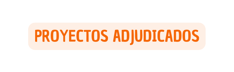 PROYECTOS ADJUDICADOS